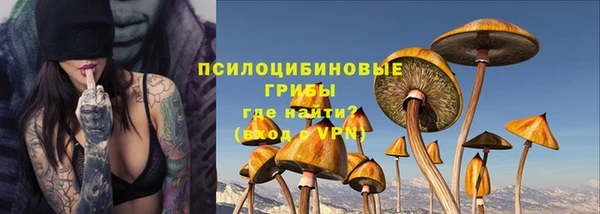 гидра Армянск